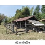ขายที่ดินว่างเปล่า ต.นิคม อ.สหัสขันธ์ จ.กาฬสินธุ์