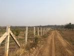 รวมที่ดินดีงามเพื่อคุณ  ที่บนเนินเขา สูงจากน้ำทะเล หล่มเก่า เพชรบ