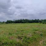 ขายที่ดินเขาคันทรง ศรีราชา ติดนิคมโรจนะ แปลงสวย ราคาดี