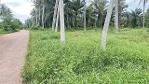 รวมบ้านที่ดินดีงามเพื่อคุณ  ที่ดินติดถนนหลวงใกล้หาดบางเบิด ไร่ 8แ