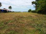 เดือนความรักหาทรัพย์  ขายที่สวยติดทะเล ที่ติดชายหาดสะพลี ชุมพร 5.