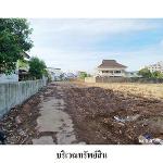 ขายที่ดินว่างเปล่า ถ.ตลาดใหม่ ต.ตลาด อ.เมือง จ.สุราษฎร์ธานี 