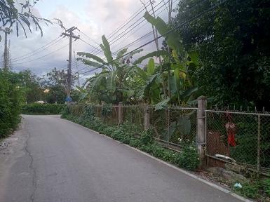 ขายที่ดิน451ว. 10ล. เยื้องปตท. ถ.ต้นยาง หนองผึ้ง สารภี เชียงใหม่