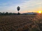รวมบ้านที่ดินดีงามเพื่อคุณ  ขายที่ติดน้ำโขง ต.กุดบง โพนพิสัย หนอง