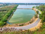 ขายที่สีม่วง อีอีซี 10 ไร่เศษ ใกล้นิคมอมตะ ต.บางนาง อ.พานทอง จ.ชล