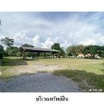 ขายบ้านเดี่ยวถนน สายเมืองพล-ท่านางแมว ต.ละหานนา อ.แวงน้อย จ.ขอนแก