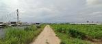 ขายที่ดิน มาบยางพร ปลวกแดง ใกล้นิคมอุตสาหกรรมอีสเทิร์นซีบอร์ด ระย