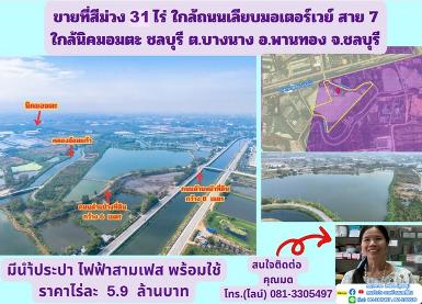 ขายที่สีม่วง 31 ไร่ ต.บางนาง อ.พานทอง จ.ชลบุรี
