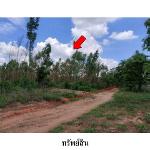 ขายที่ดินว่างเปล่า ต.ชีลอง อำเภอ เมืองชัยภูมิ จังหวัด ชัยภูมิ
