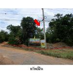 ขายที่ดินว่างเปล่า ถนน มะลิวัลย์ (ทล.12) ต.โนนอุดม อ.ชุมแพ จ.ขอนแ