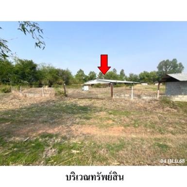 ขายฟาร์มเลี้ยงสัตว์ ต.หนองสรวง อำเภอ ขามทะเลสอ จังหวัด นครราชสีมา