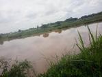 รวมที่ดินดีงามเพื่อคุณ  ขายที่ติดแม่น้ำน่าน ต.โคกหม้อ ชุมแสง.นครส
