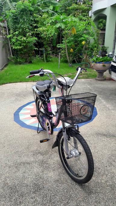 จักรยานไฟฟ้า