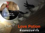 G11 LOVE POTION AROMA 2L