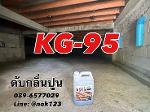 KG-95 POTION 4.5L สุดยอดฮอร์โมนปรับสภาพบ้านนกเปิดใหม่