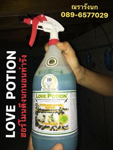 G11 LOVE POTION AROMA 2L