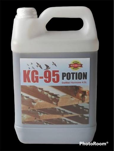 KG-95 POTION สุดยอดฮอร์โมนปรับสภาพบ้านนกเปิดใหม่