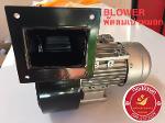 BLOWER 120W  พัดลมหอยโข่ง