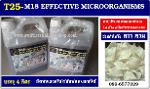 T25-MEIYAN M18 EFFECTIVE MICROORGANISMS 4 LITER