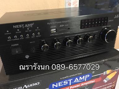 B12 - NEST AMP A4 2CH ACDC